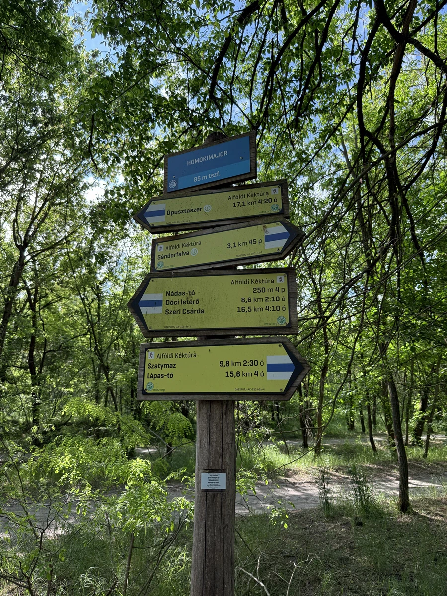 Alföldi kék túra útvonal részlete Sándorfalva közelében